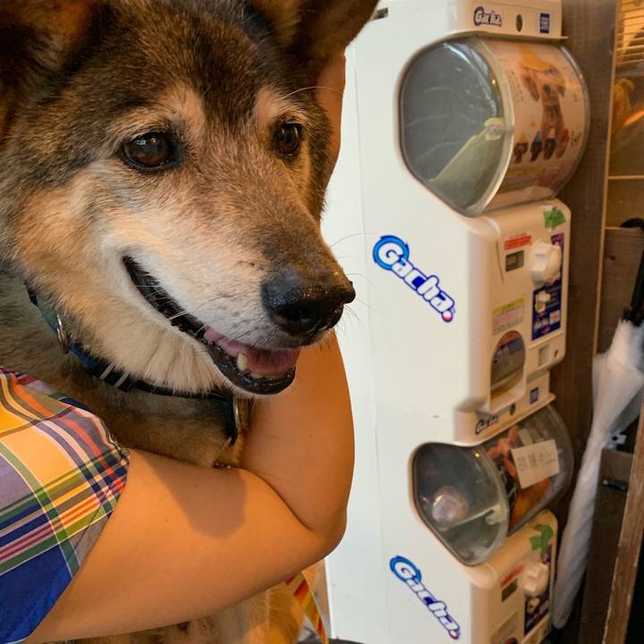 08baab80 cc0b 4d88 991a 3f2d66af5999 1564224659500