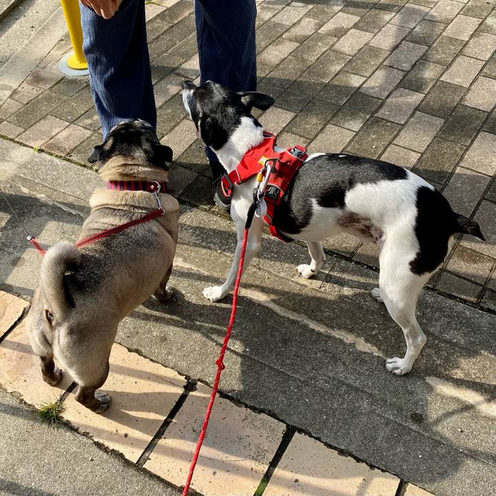 08baccc0 c978 46f9 a650 1fd634987ff2 1622849171944