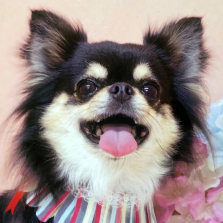 08bad4df 01f7 4b7a bf17 c8f9ae5e3f48 1592798111961