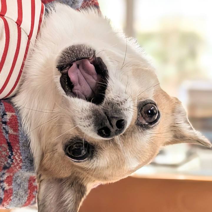 08baf39b 7dc3 43f8 b6de a51f5cdbebf4 1737772576074