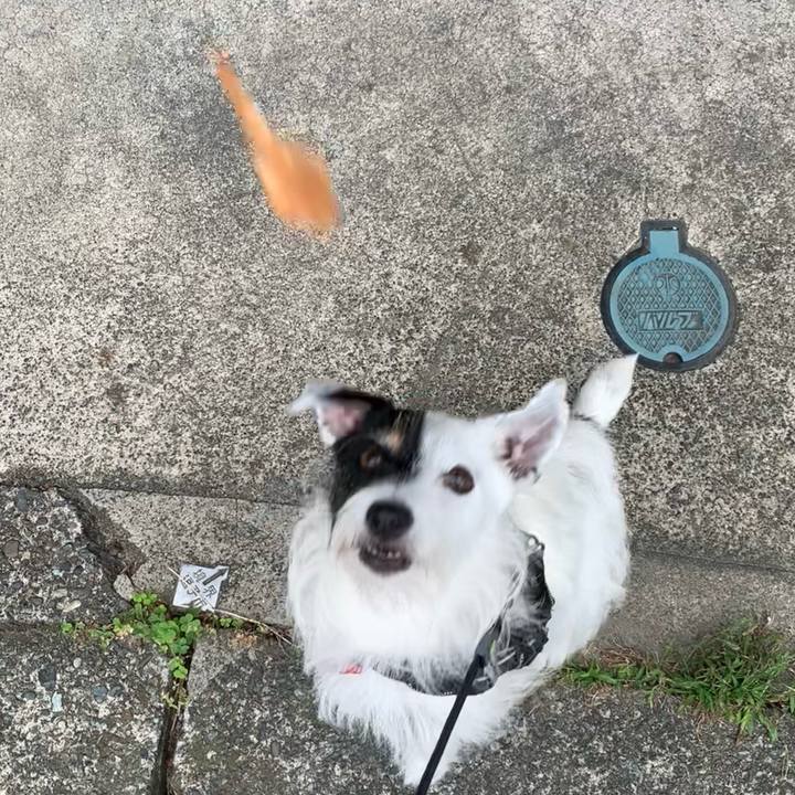 08baf3d5 6325 4b1d 88f3 d2ca73fe8a36 1695250769749