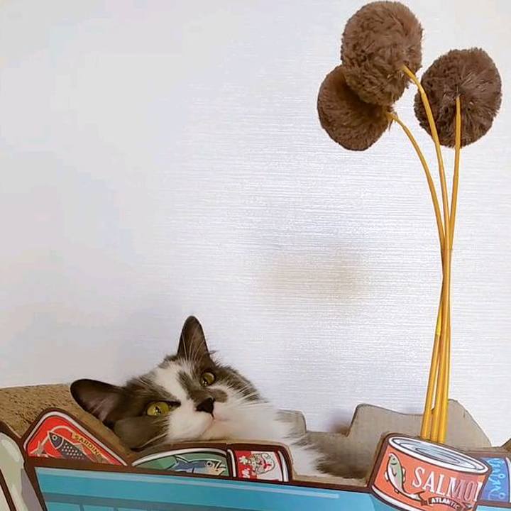 08bb6638 bf36 439b 8624 cc7b30bcf578 1670642694729