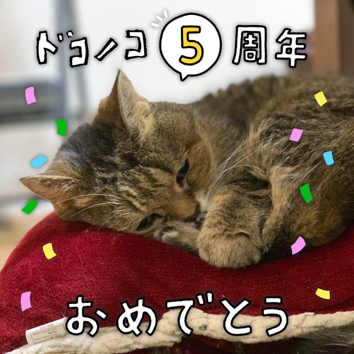 08bb7d94 7388 47d4 9cd1 72f0c98d32e2 1623036803747