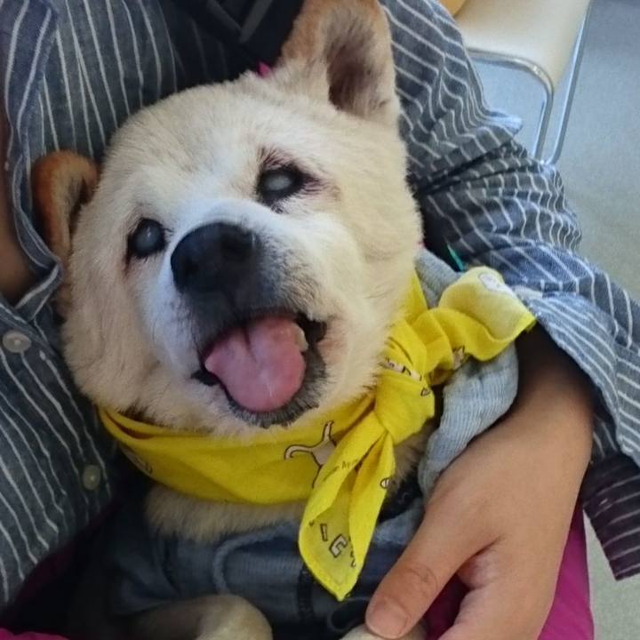 08bb7f6a 3bd9 456d 8ca0 f1dd180ea4a3 1530328747050