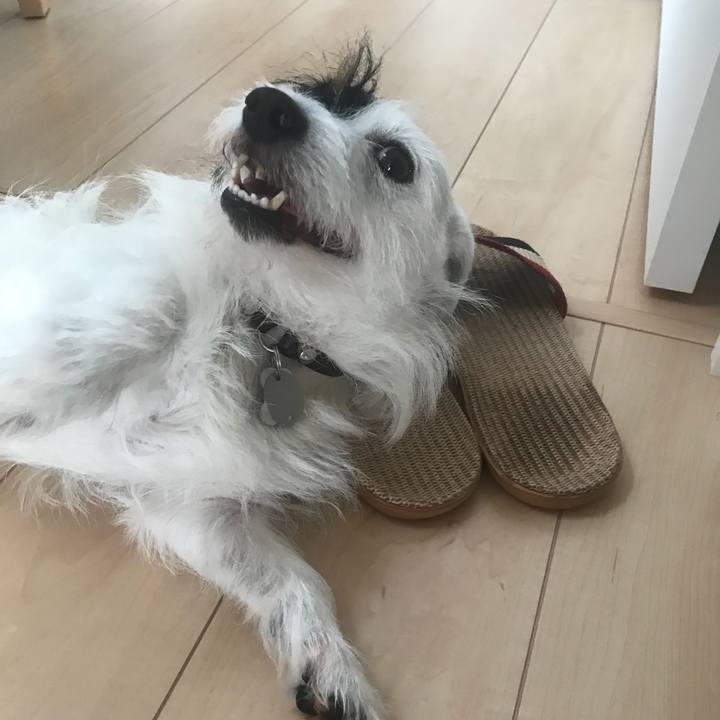 08bb8c06 93c8 449e 8c28 9b59ff62a9e2 1531204357308