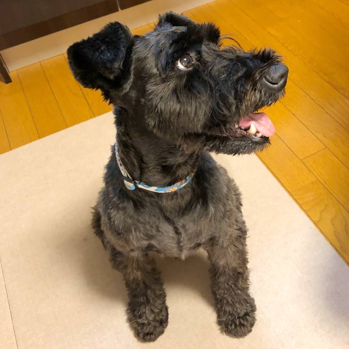 08bb99bc a292 4b04 90fd 33ff2d3d8d89 1598267839128