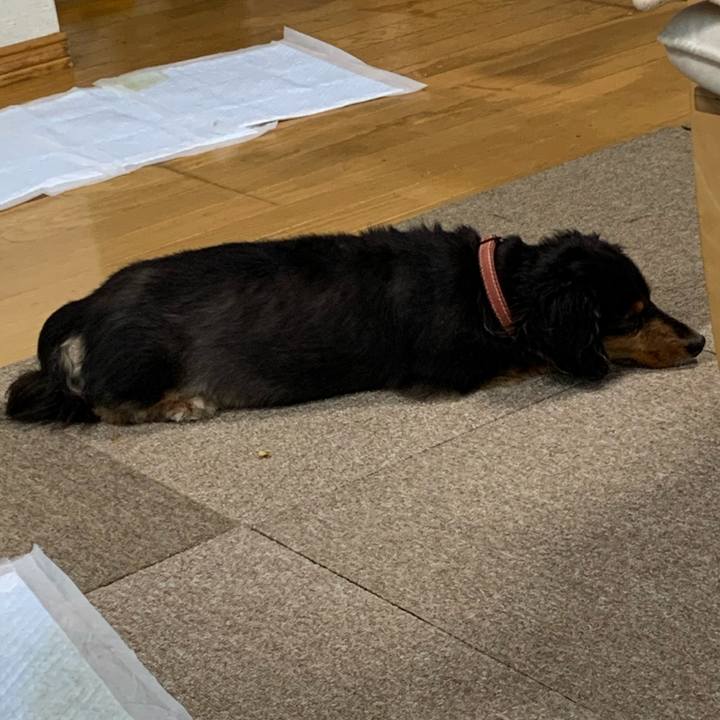 08bb9bb3 d717 4d16 b0e8 fbf5c95659e6 1596841685956