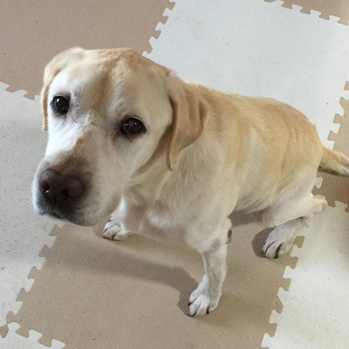 08bb9bfa 20a7 4838 b5bd 1750838652ef 1511840293726