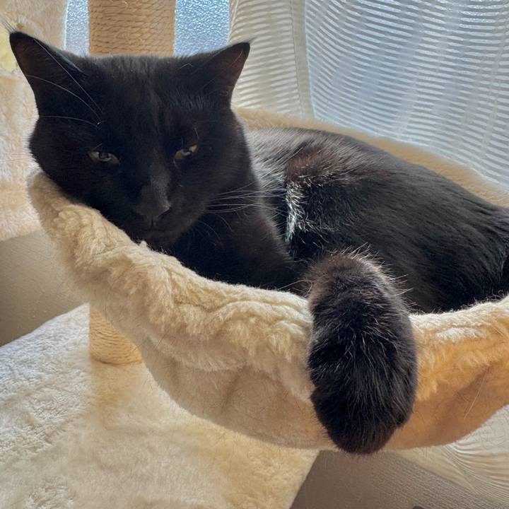 08bbdfd0 6f18 45d6 9297 6aed43fd23a1 1764392421584