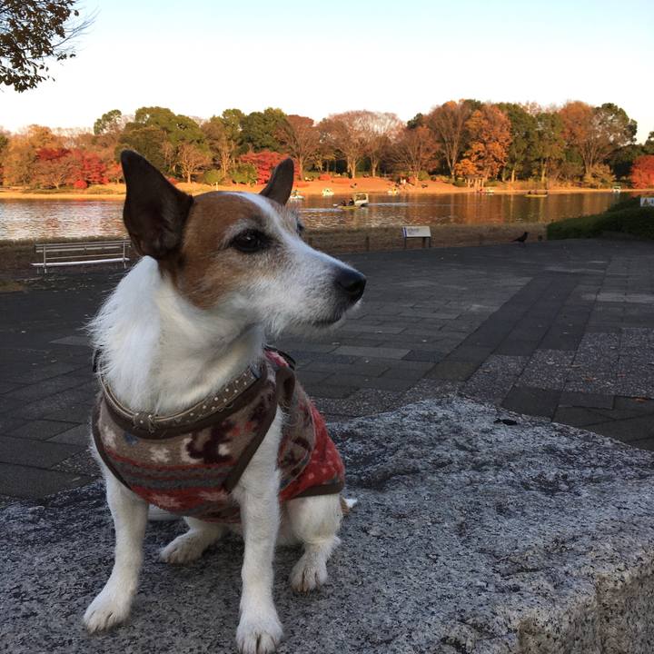 08bbf74a 4d78 4ffe a42c c69924d7e83f 1607556853028