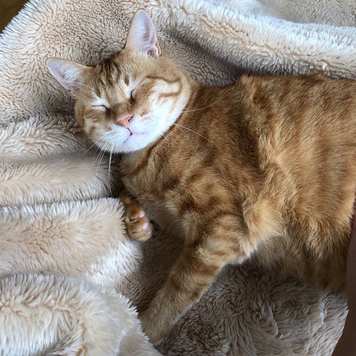 08bc3c13 59f3 4fd1 8fbe 30b2ec09ccf9 1561773781625