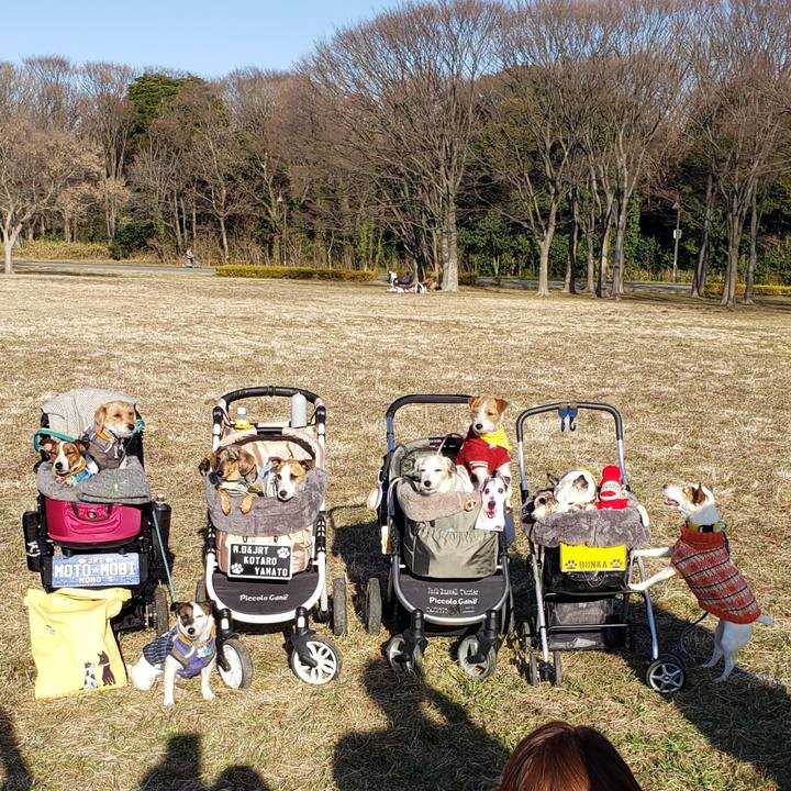 08bc49e3 9a65 48c0 8599 7da9717cbe76 1641734537841