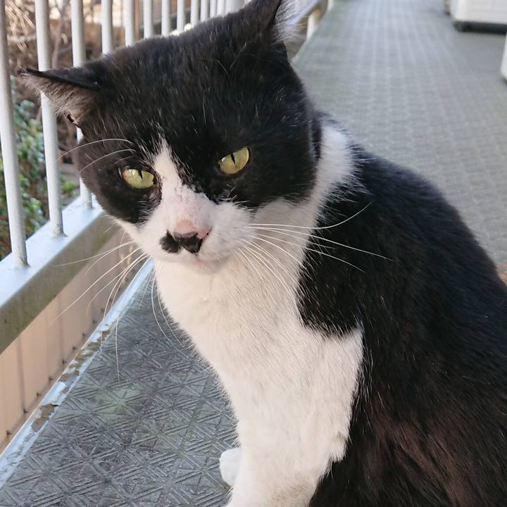 08bc69e5 392c 415e ba23 ff4c6c682c42 1552090517032