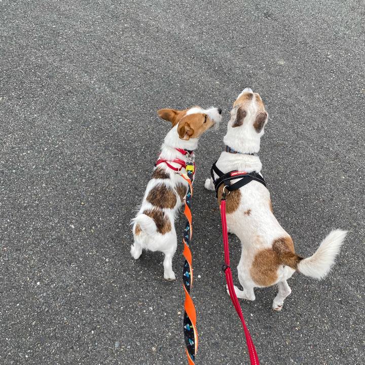 08bc82e8 0d9e 45f9 aa02 56a31151959d 1621145662320