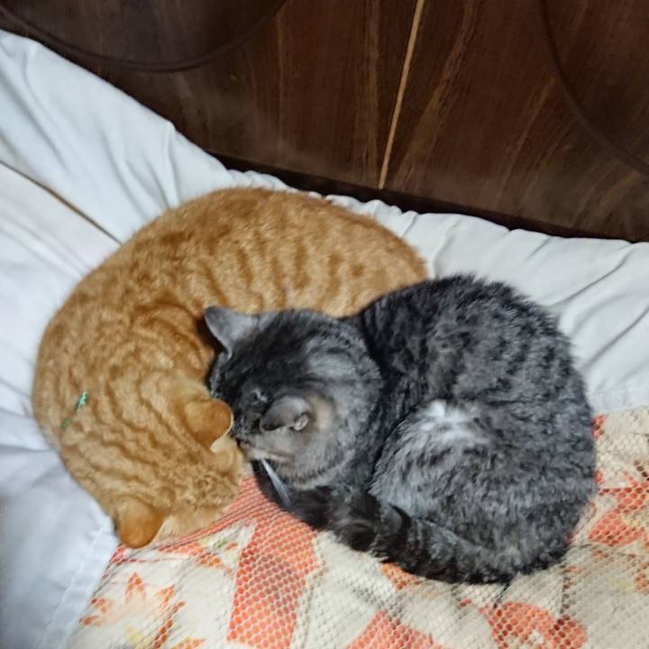 08bcd71c 8d74 4865 a395 8d9d8040d95e 1580732520140