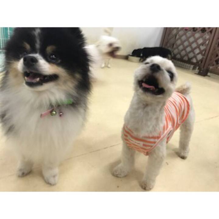 08bd06e0 2831 46c1 8f6f 53b85a683eb3 1531218085391