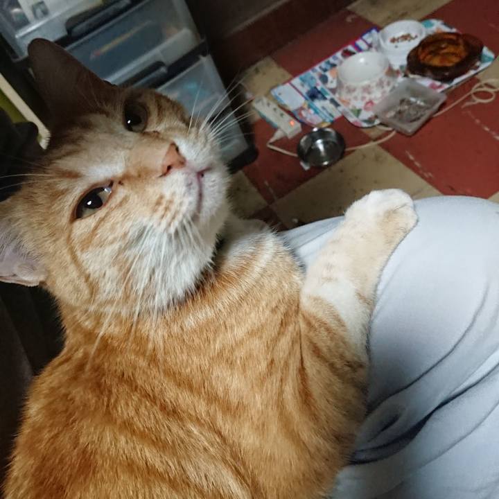 08bd0dc1 43e1 4afc 9bc5 62af059d7070 1592422420927