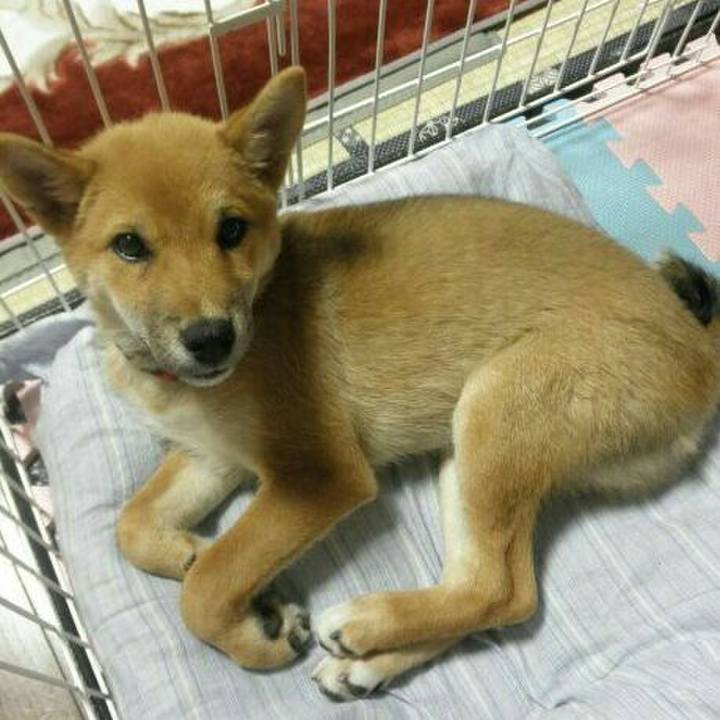 08bd7207 990c 415e 8bd5 b6ff343f5b31 1535432073334