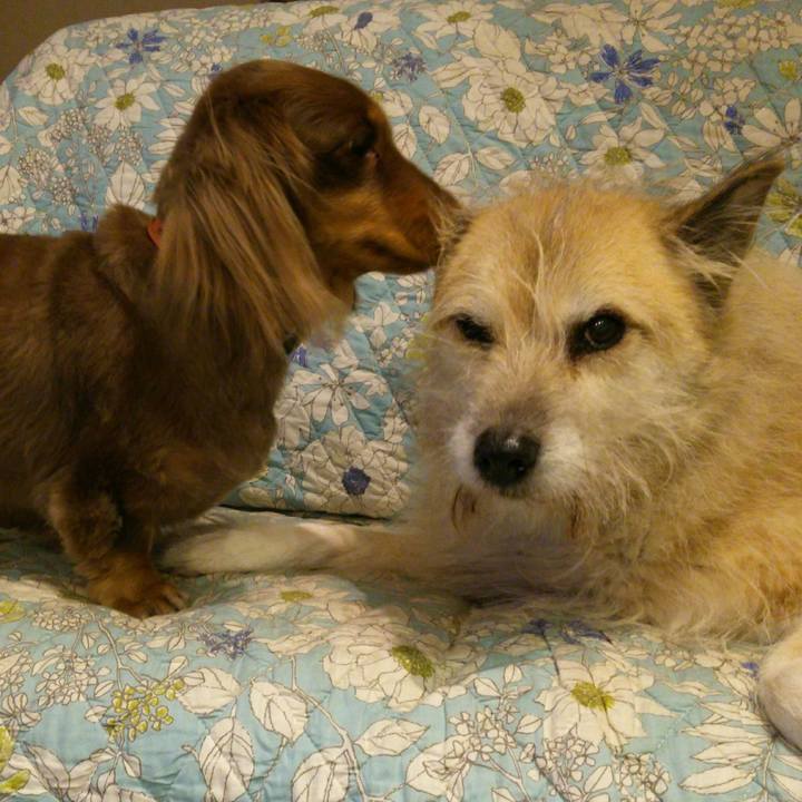 08bd87af cae4 4262 ae67 bc2c0c7b10d9 1544190047730