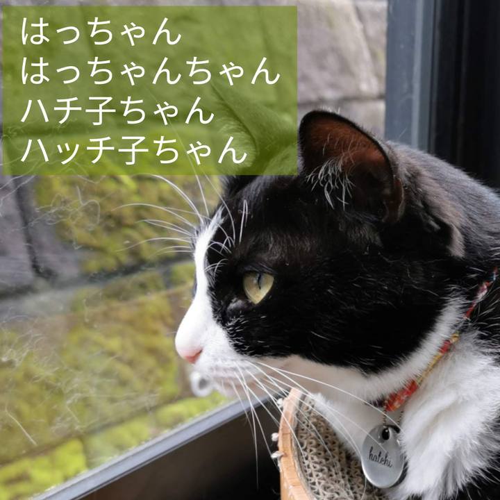 08bd9d1e f23e 4f48 bd32 5538b03fea55 1656300643690