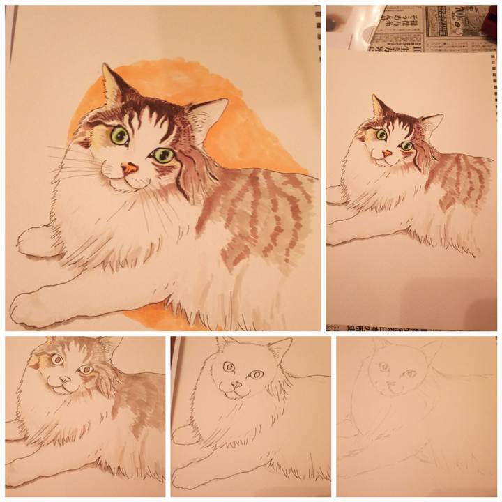 08bdf1ea b391 4d4e 9238 8b96d4061984 1535456757292