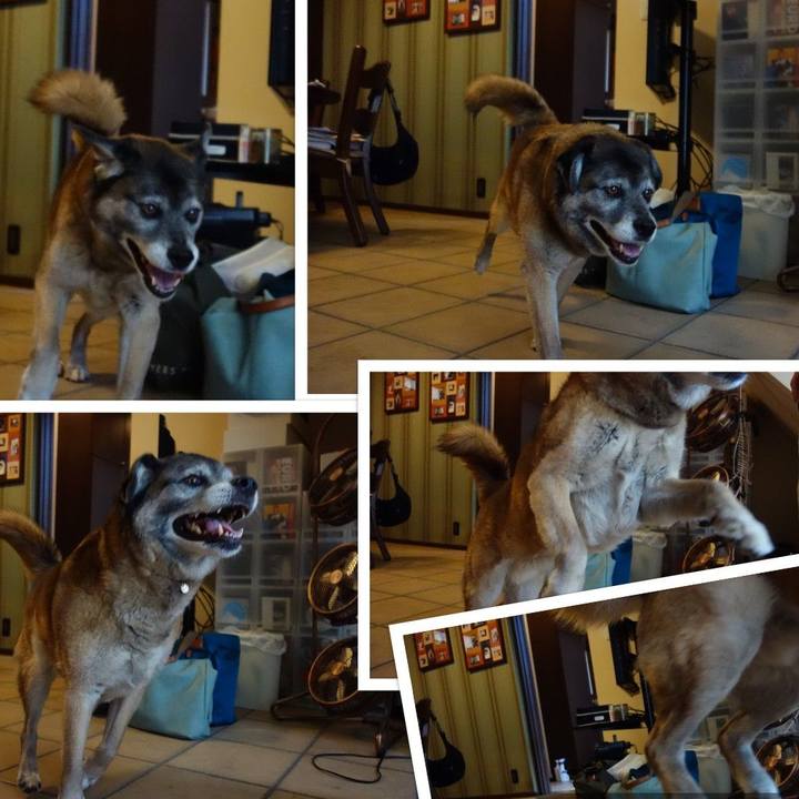 08be0ffc ec00 4588 8ae0 4c653e0b92ef 1525093003008