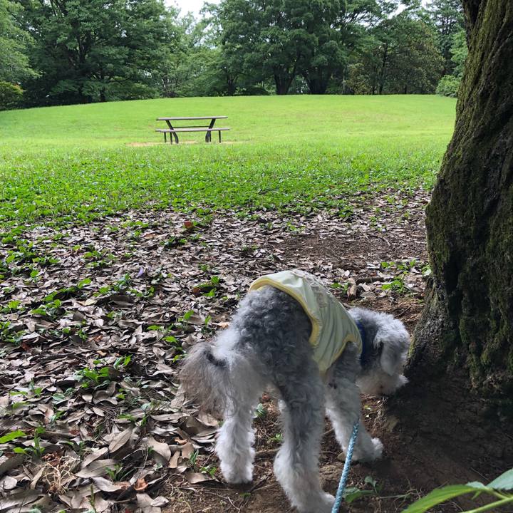 08be7163 1dbf 4ba7 8765 304f910317d0 1657152596304