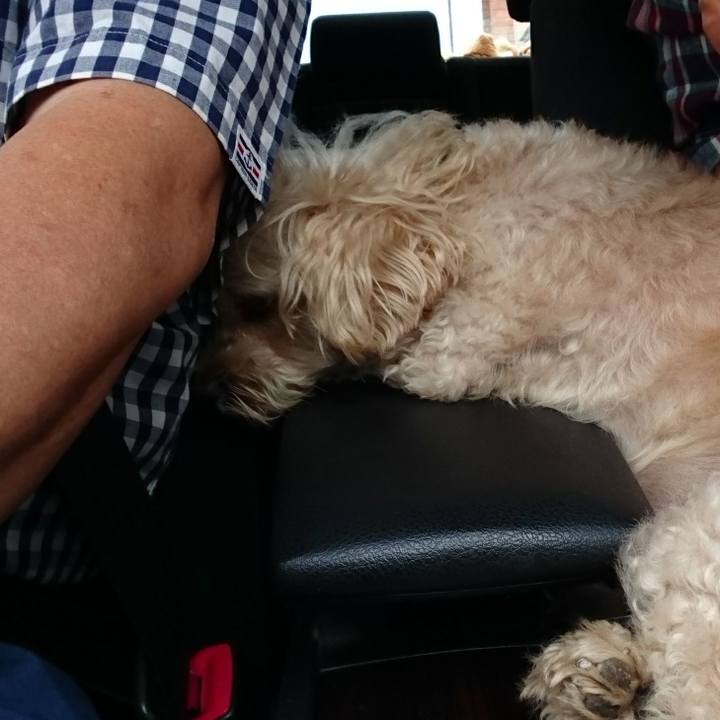 08be8575 eac3 4fe2 bcd7 d3a527b35a9b 1600576171863