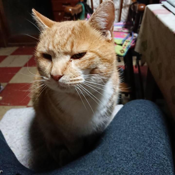 08bf19f1 e3d2 42d3 814b 7b30f1a50880 1579031723289