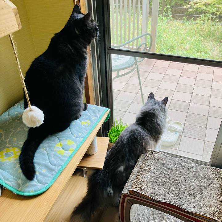 08bf5d6f 8ffd 4efb 9dca 47eb78a81fc5 1746145741813