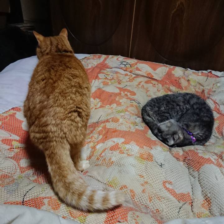 08bf5e32 723a 4008 a168 6f0d27430ada 1580472773304