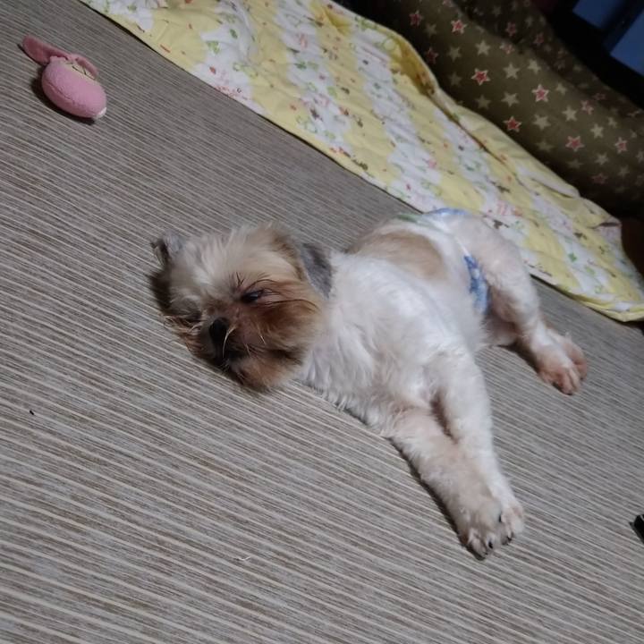 08bf9540 ff17 4995 8c0a 1aba8179af95 1599115735493