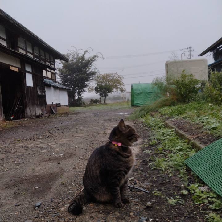 08bfa03a 9036 4a8a bd56 9cdcd7a89e4b 1665264860902