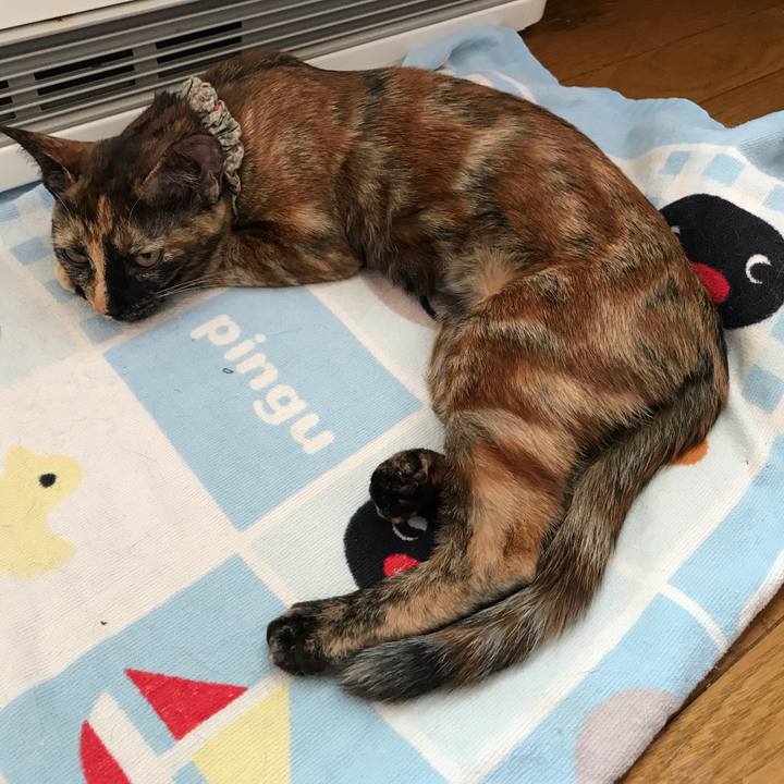 08bfa926 ca20 4cdd bb17 2657df1aa7b1 1610756083938