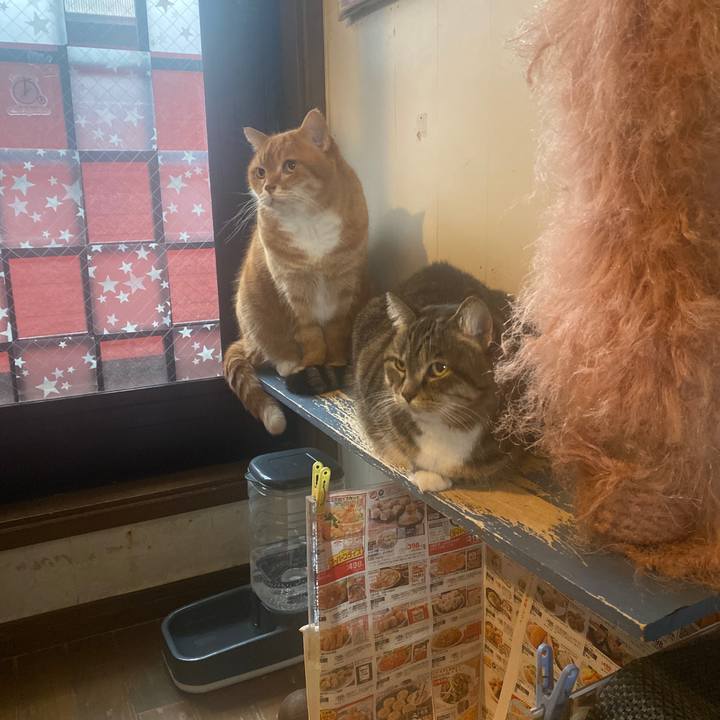 08bfb22d 8374 43dd 8e0f bf53ee4b2972 1704003872401