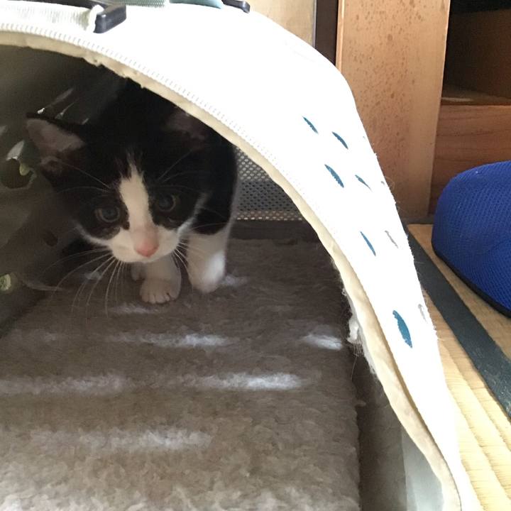 08bfe44c f9d9 47c8 8f68 b23097d22a1c 1624770334830