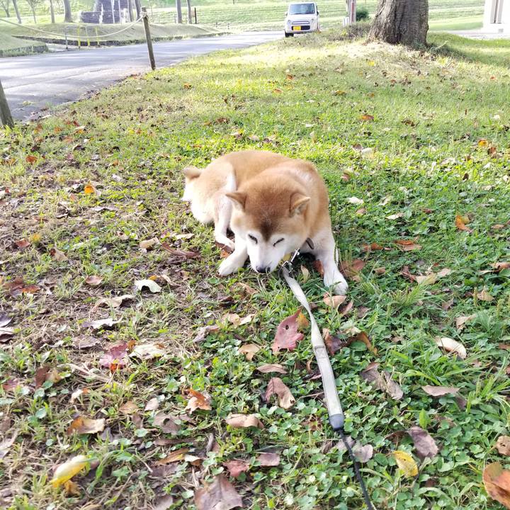 08c03e80 fdac 4db5 a173 eb926097411e 1632293295441