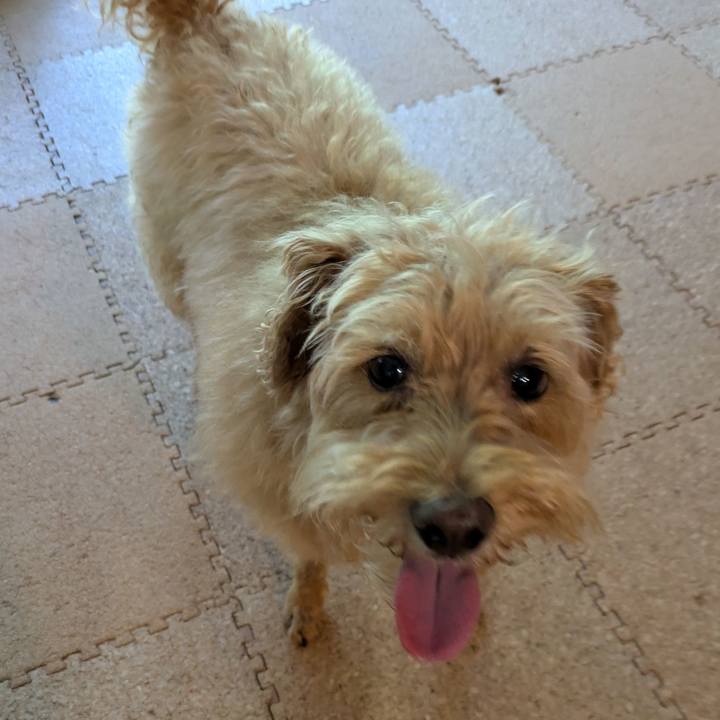 08c0421f cc77 4ff3 9c31 55ba477e835b 1752269784211