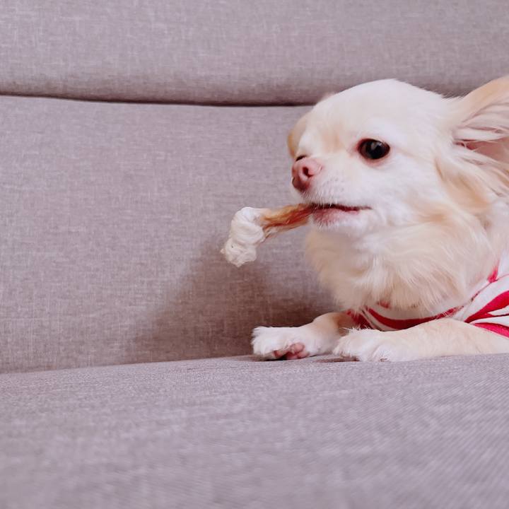 08c04ce7 d4f9 4395 ad3e ee5d133cff5e 1678958892171