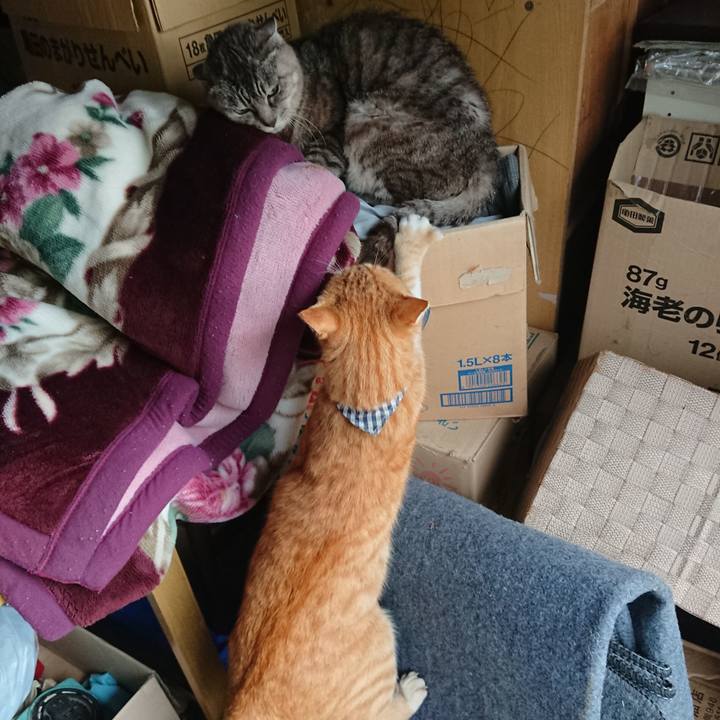 08c04cf6 df98 44e9 a060 053e6379c27f 1570335628948