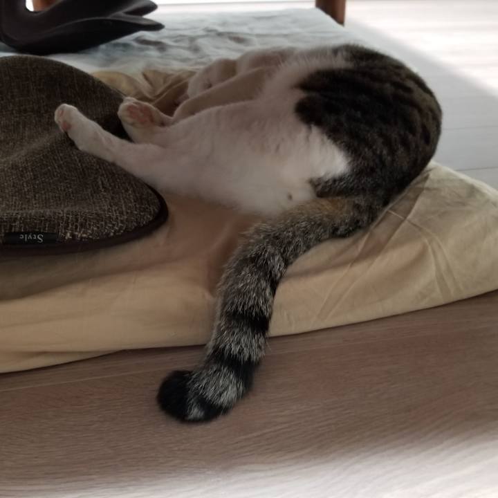 08c0e125 f5f3 4fda a6d0 10992563f7f7 1615326235595