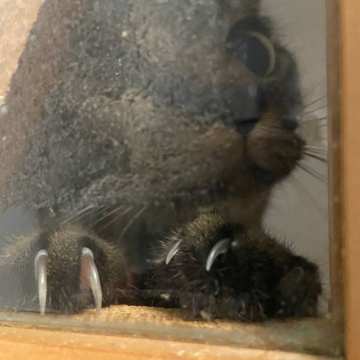 08c1050f 719d 495d 8fcb 26785233f392 1628332937752