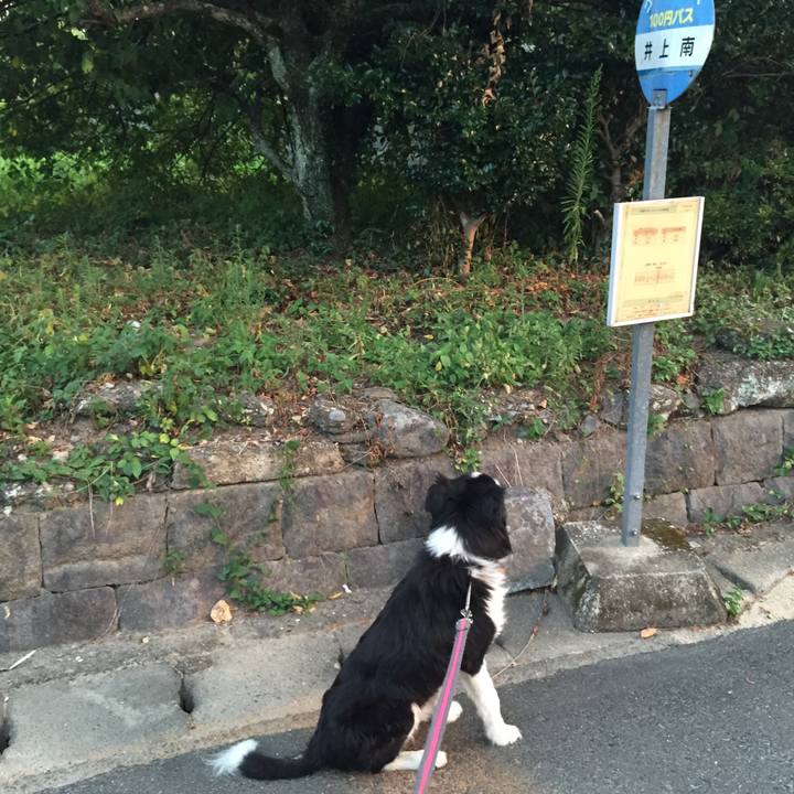 08c11667 2190 43e0 a1c9 a883d55792e3 1534971509864