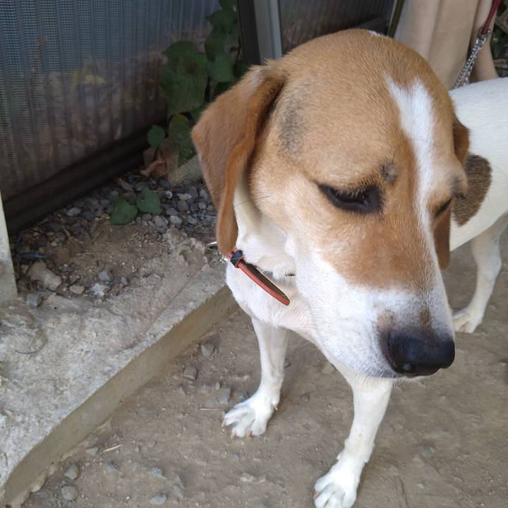 08c12e6f 8476 42e8 b6d6 c30c6bf1844f 1630596354676