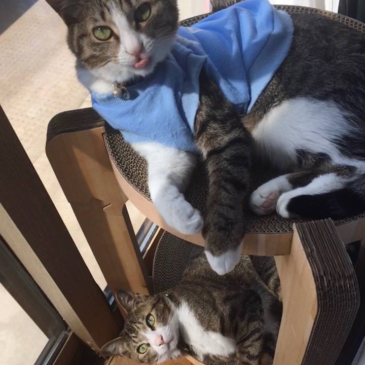 08c1433e 86f7 4172 9318 658f9e34404f 1678767846954