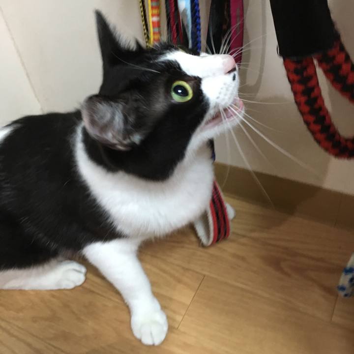 08c156c1 0ecf 40ea 8d1e 8eb458dc4f14 1531177592843