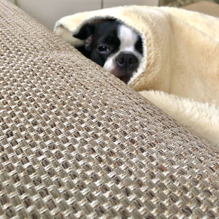 08c1718f 140c 41cd a420 4210c9238731 1558425324413