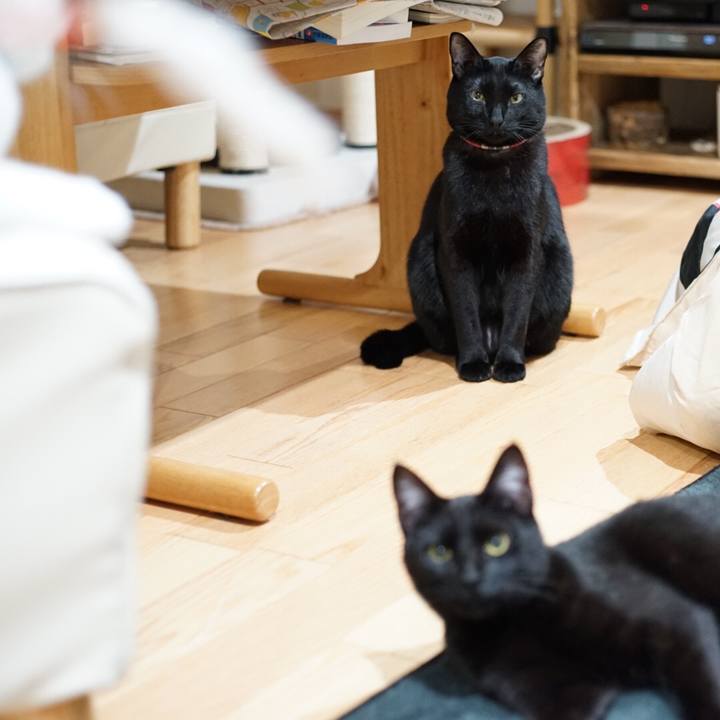 08c190da 7235 4489 bcc4 3806958dcf90 1516318009544