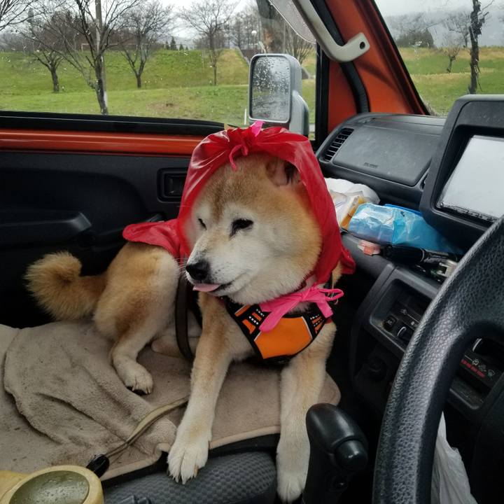 08c1b846 563f 437f 9cfb 2ca5c77aa284 1712634174822