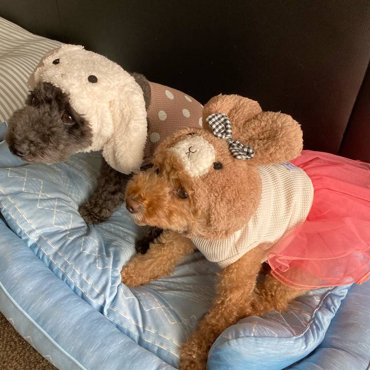 08c206c5 7a38 42b9 b15b dba3601e4687 1664440649126